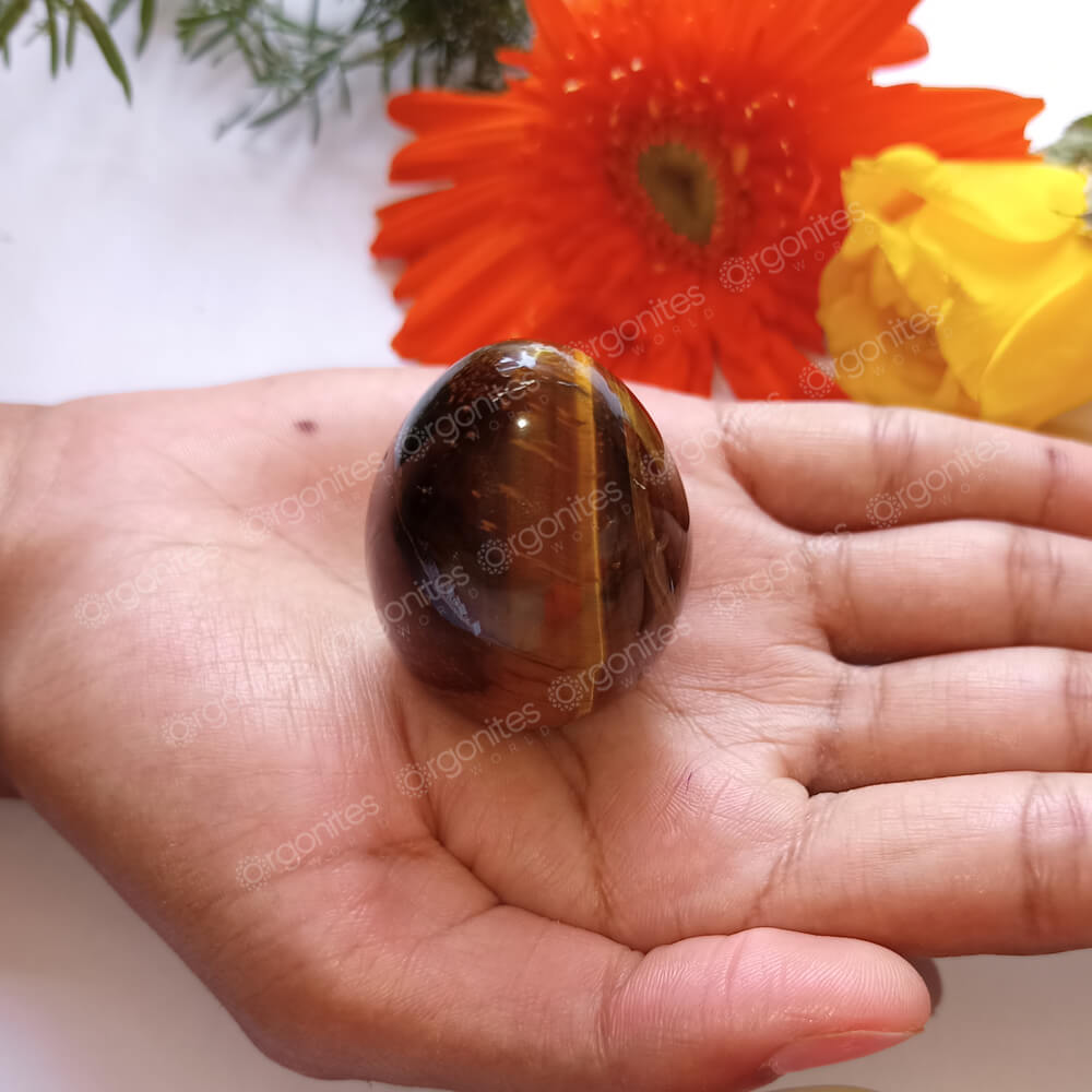 Tigers eye egg deals