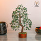 Green Aventurine Silver Wire Crystal Tree