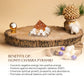 Gomti Chakra Orgone Pyramid for Positivity
